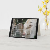 Niedliche Kuh für Wohlbefinden Karte (Gelbe Blume)