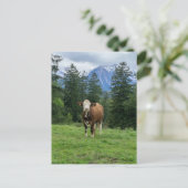 Niedliche Kuh in Allgaeu - Bayern, Deutschland Postkarte (Stehend Vorderseite)