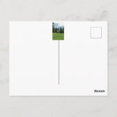 Niedliche Kuh in Allgaeu - Bayern, Deutschland Postkarte (Rückseite)