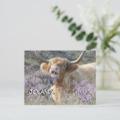 Niedliche Kuh Nah nach oben Danke Postkarte (Stehend Vorderseite)