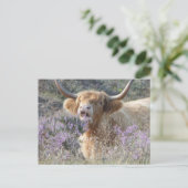 Niedliche Kuh Nah Up DIREKT Postkarte (Stehend Vorderseite)