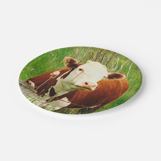 Niedliche Kuhpapierplatte Pappteller (Schrägansicht)