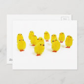 niedliche Küken Postkarte (Vorne/Hinten)