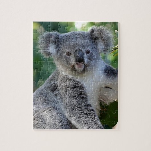 Niedliche, kuschelige australische Koala Puzzle (Vertikal)