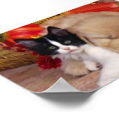 Niedliche kuschelige Haustiere Poster (Ecke)