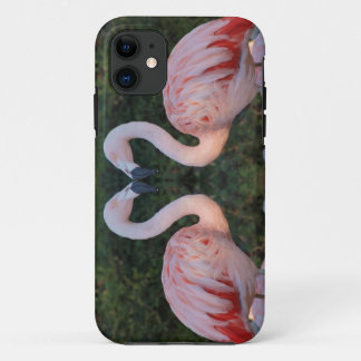 Niedliche küssende Flamingo-Fotografie Case-Mate iPhone Hülle