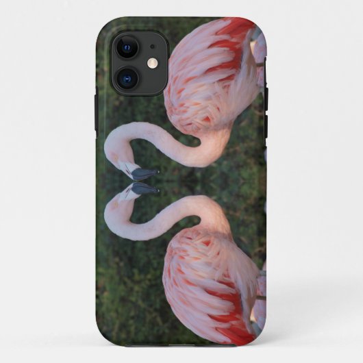 Niedliche küssende Flamingo-Fotografie Case-Mate iPhone Hülle (Rückseite)
