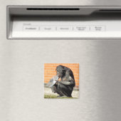 NIEDLICHE KWIMP MAGNET (In Situ (Geschirrspüler))