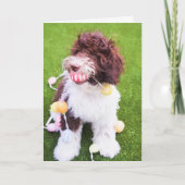 Niedliche Labradoodle Ostereier-Jagdkarte Feiertagskarte (Vorderseite)