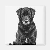 Niedliche Labrador Black Dog Puppy Pet Sketch Magnet (Vorne)