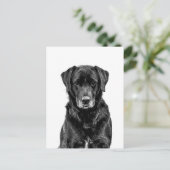Niedliche Labrador Black Dog Puppy Pet Sketch Postkarte (Stehend Vorderseite)