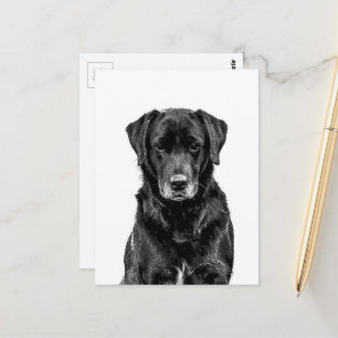 Niedliche Labrador Black Dog Puppy Pet Sketch Postkarte