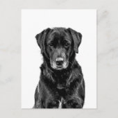 Niedliche Labrador Black Dog Puppy Pet Sketch Postkarte (Vorderseite)