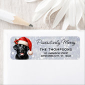 Niedliche Labrador Retriever Festive Hund Rücksend (Insitu)