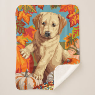 Niedliche Labrador Retriever Welpe Herbsternte Sherpadecke