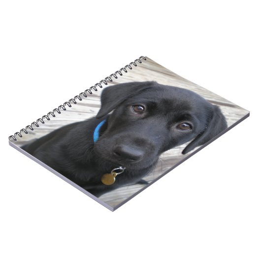 Niedliche Labradore Notizblock (Linke Seite)