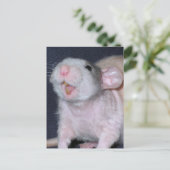 Niedliche Lächeln Ratte Postkarte (Stehend Vorderseite)