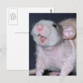 Niedliche Lächeln Ratte Postkarte (Vorne/Hinten)