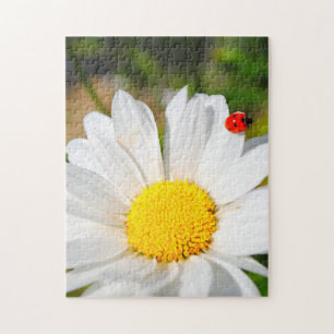 Niedliche Ladybird auf Marguerite Daisy Blume Hüb Puzzle
