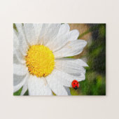 Niedliche Ladybird auf Marguerite Daisy Blume Hübs Puzzle (Horizontal)