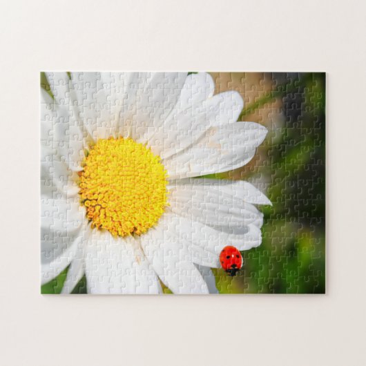 Niedliche Ladybird auf Marguerite Daisy Blume Hübs Puzzle (Horizontal)