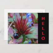 Niedliche Ladybug Cust. Text-HELLO-Postkarte Postkarte (Vorne/Hinten)