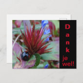 Niedliche Ladybug Cust. Text Vielen Dank Postkarte (Vorne/Hinten)