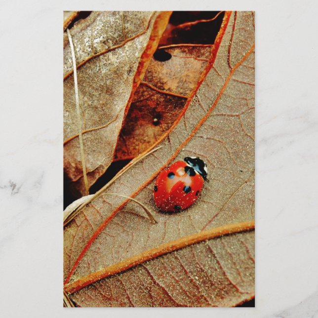 niedliche Ladybug-Kostüme personalisieren Namensge (Vorderseite)