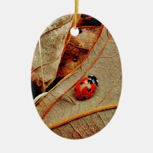 niedliche Ladybug personalisieren Namensgeschenk Keramik Ornament (Vorne)