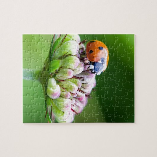 Niedliche Ladybug Puzzle (Horizontal)