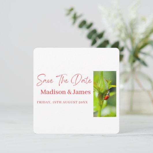 Niedliche ladybug Script Save the Date Einladung (Stehend Vorderseite)