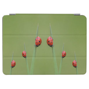Niedliche Ladybugs für Ihr iPad! iPad Air Hülle