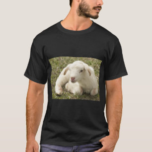 Niedliche Lamm-Farm Schafe T-Shirt