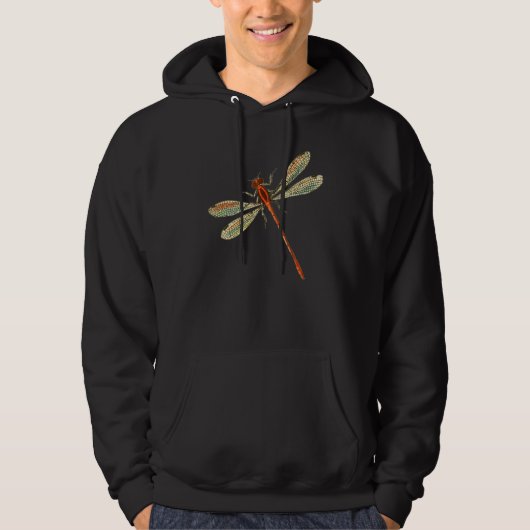 Niedliche Libelle Wings Antique Dragonfly Illustra Hoodie (Vorderseite)