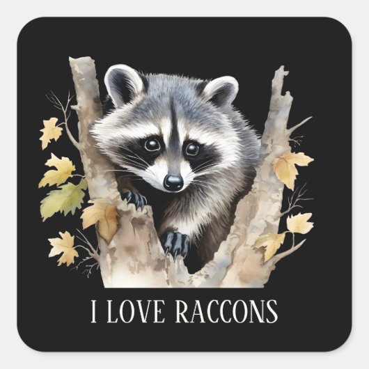 Niedliche Liebe Raccoons Tierliebhaber fügen Text  Quadratischer Aufkleber (Vorderseite)