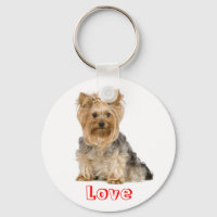 Niedliche Liebe Yorkshire Terrier Welpenhund Schlü