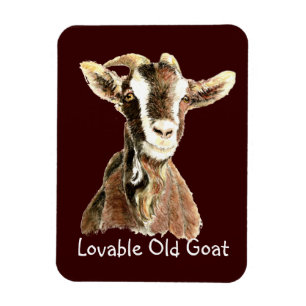 Niedliche liebenswerte alte Ziege, Spaß von Nutzti Magnet
