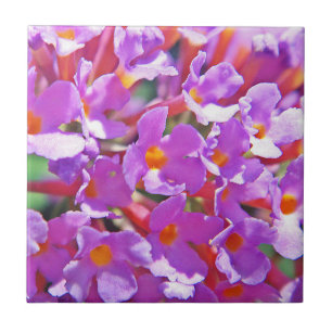 Niedliche lila kleine Blume Fliese