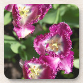 Niedliche lila Tulpen im Garten Getränkeuntersetzer (Vorderseite)