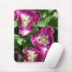 Niedliche lila Tulpen im Garten Mousepad