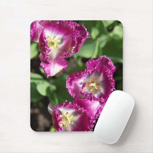 Niedliche lila Tulpen im Garten Mousepad (Mit Mouse)