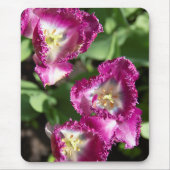 Niedliche lila Tulpen im Garten Mousepad (Vorne)