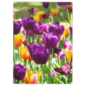 Niedliche lila und gelbe Tulpen Klemmbrett (Rückseite)