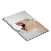 NIEDLICHE LLAMA ALPACA LAGHING NOTIZBLOCK (Rechte Seite)