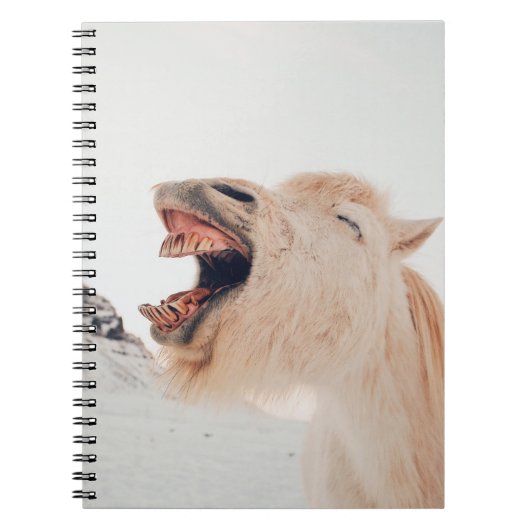 NIEDLICHE LLAMA ALPACA LAGHING NOTIZBLOCK (Vorderseite)