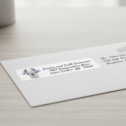 Niedliche Llama Alpaca-Tieradressen