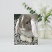 niedliche Lockenplakette Postkarte (Stehend Vorderseite)