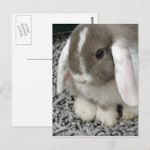 niedliche Lockenplakette Postkarte (Vorne/Hinten)