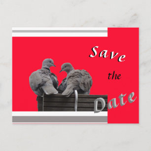 Niedliche Lovebirds SAVE THE DATE Postkarte