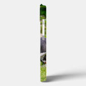 Niedliche lustige Boston Terrier Hunde spielen - Case-Mate iPhone Hülle (Rückseite / Links)